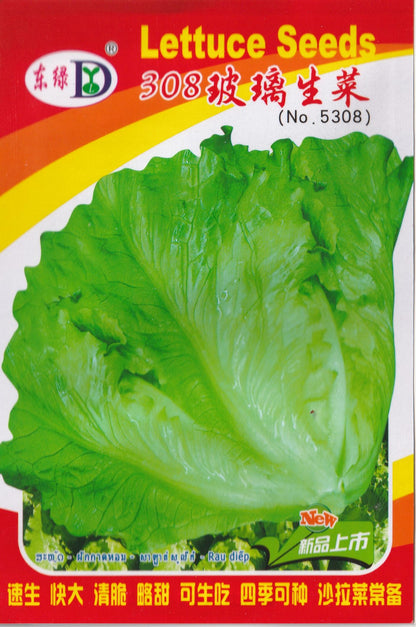 Italian Lettuce Vegetable Seeds (1000 seeds) - Basic Farm House