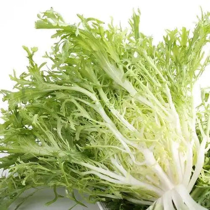 Chicory Frisée Seeds 8000 Seeds | Curly Endive Lettuce | Salad Greens | Easy to Grow