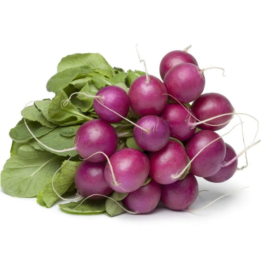Purple Round Cherry Radish Seeds 200 Seeds | Fast-Growing | Crisp & Juicy | Home Garden Vegetable