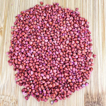 Sugar Cane Seeds 200pcs Sweet Cane | Fast Growing | High Germination | PH Climate