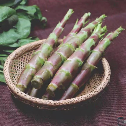 Red Stem Asparagus Lettuce Vegetable Seeds ( 2000 seeds ) - Basic Farm House