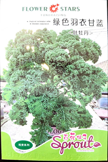 Organic Green KALE Vegetable Seeds (100 seeds) - Basic Farm House