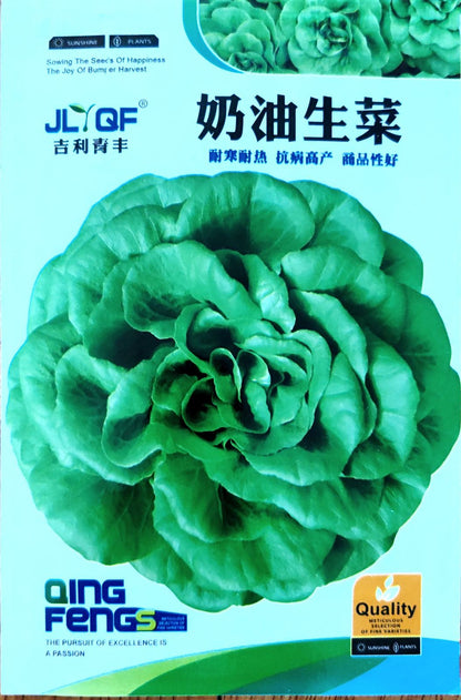 Italian Butter Glass Lettuce Vegetable Seeds ( 1500 seeds ) - Basic Farm House
