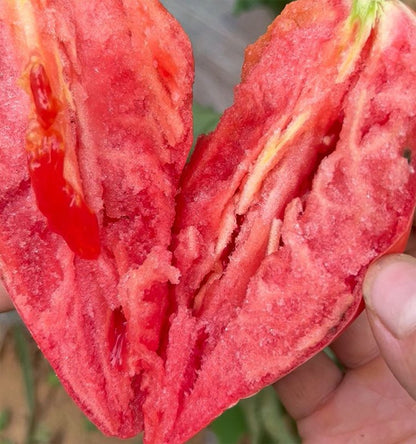 Honey Mango Heirloom Tomato 100 Seeds Sweet Juicy Red Tomato for Home Garden Planting