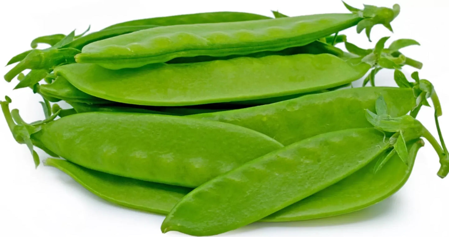 Chinese Big Variety Snow Pea Sitsaro Vegetable Seeds (30 seeds) - Basic Farm House