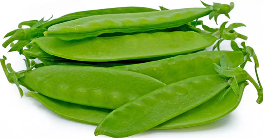 Chinese Big Variety Snow Pea Sitsaro Vegetable Seeds (30 seeds) - Basic Farm House