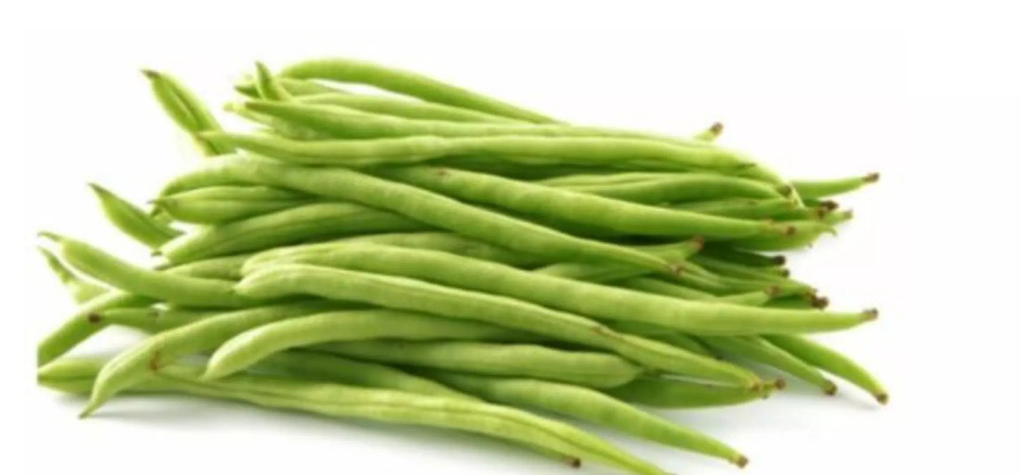 Safflower Green Short Beans Sitao Vegetable Seeds (30 seeds) - Basic Farm House