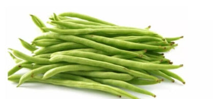 Safflower Green Short Beans Sitao Vegetable Seeds (30 seeds) - Basic Farm House