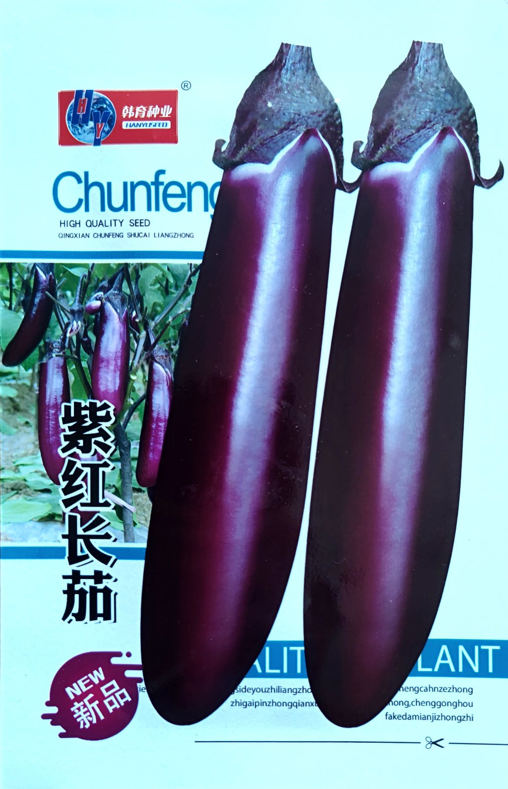 Alexander Barbecue Purple Long Eggplant Vegetable Seeds ( 300 seeds ) - Basic Farm House