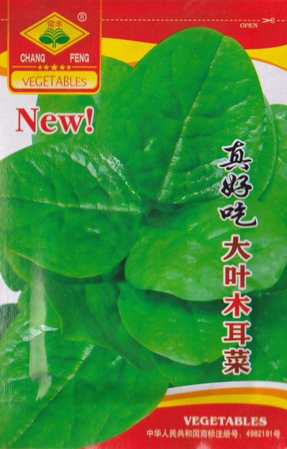 Chinese Big Green Leaf Alugbati Malabar Spinach Variety Vegetable Seeds (30 seeds) - Basic Farm House