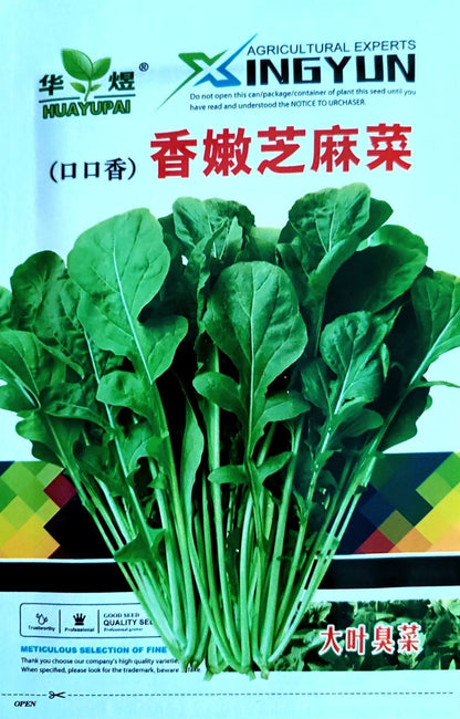 RARE Italian Rocket Lettuce / Arugula Vegetable Salad Seeds (1500 seeds) - Basic Farm House
