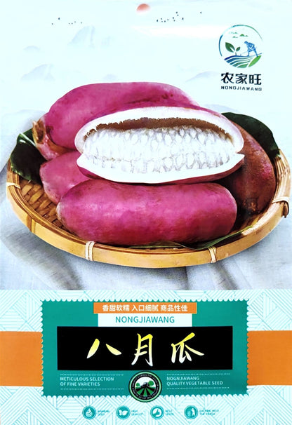 August Melon Fruit Vegetable Seeds ( 30 seeds ) - Basic Farm House
