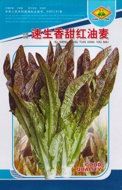 Baby Red Romaince Lettuce Vegetable Seeds (1000 seeds) - Basic Farm House