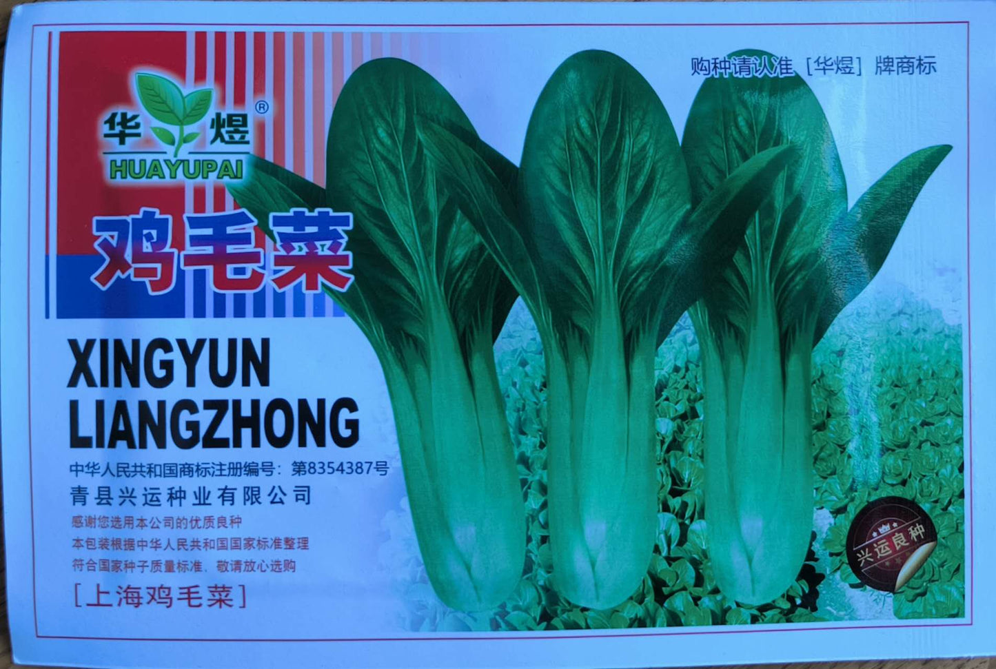 Chinese Baby Bok Choy  Vegetable Seeds (600 seeds) - Basic Farm House