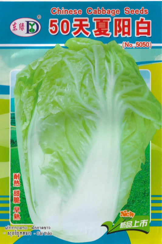 Chinese Korean Cabbage  Pechay Baguio Vegetable Seeds ( 1,000 seeds ) - Basic Farm House