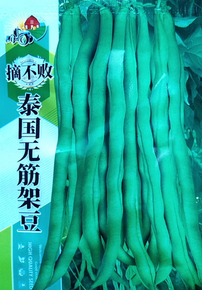 Baguio Beans Vegetable Seeds ( 30 seeds ) - Basic Farm House