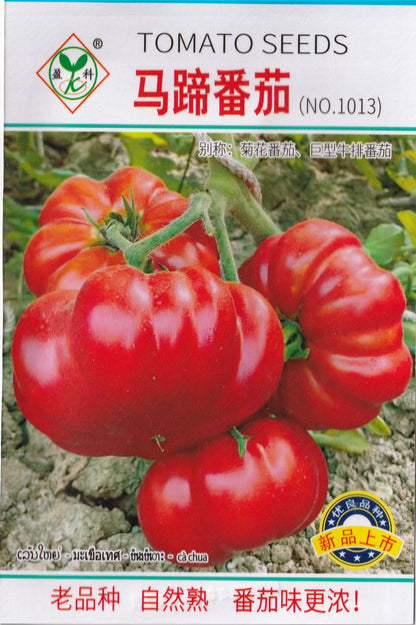 Beefsteak Tomato Heirloom Kamatis Vegetable Seeds ( 100 seeds ) - Basic Farm House