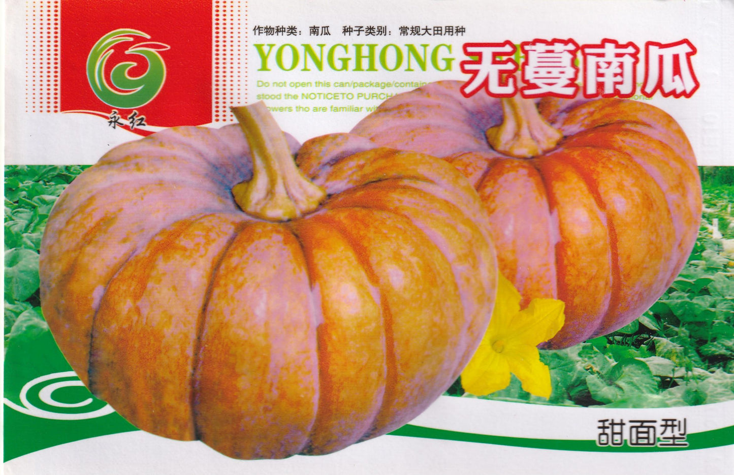 Kalabasa Pumpkin Vegetable Seeds ( 20 seeds ) - Basic Farm House