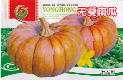 Kalabasa Pumpkin Vegetable Seeds ( 20 seeds ) - Basic Farm House