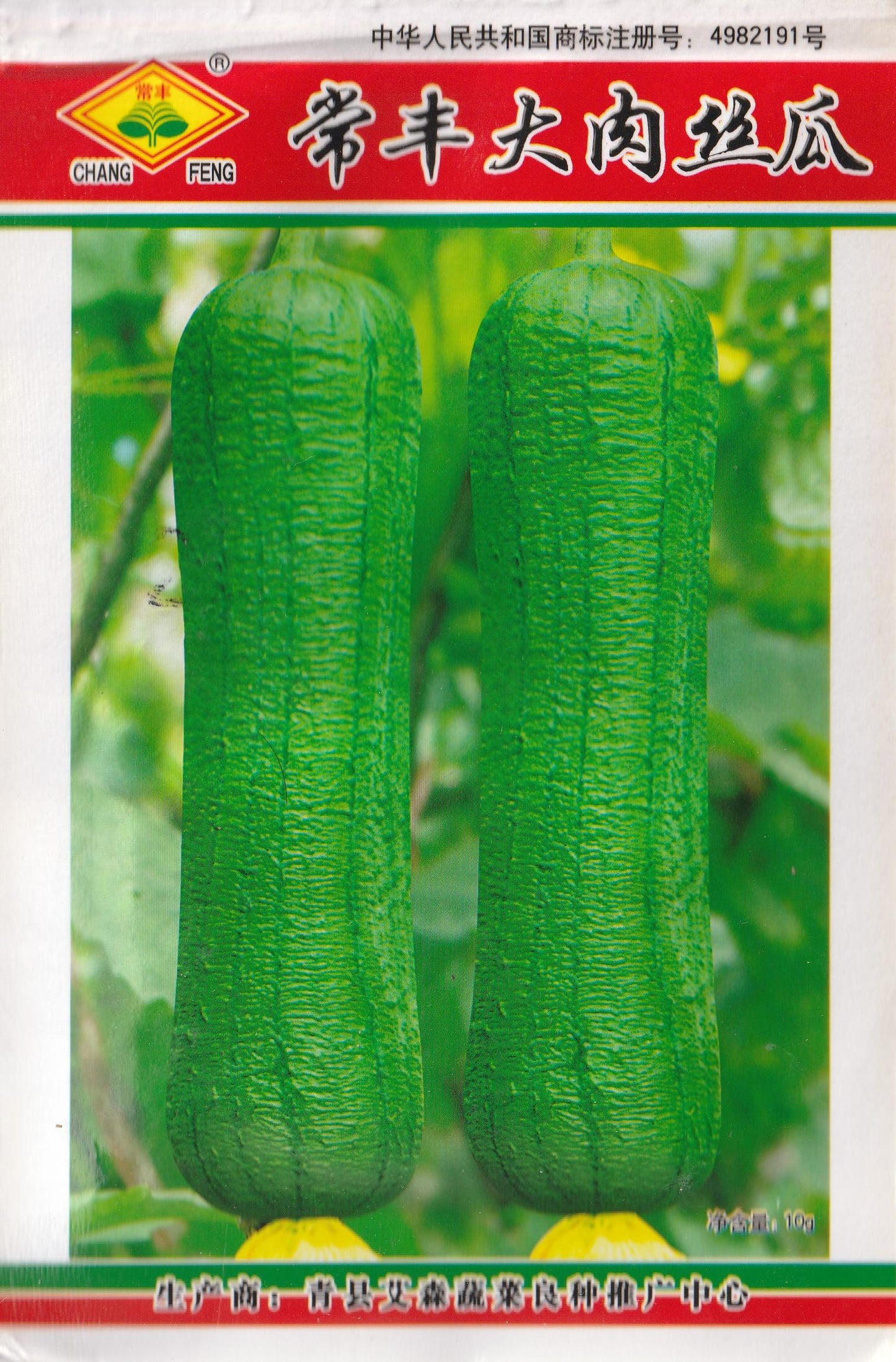 RARE BIG Variety Luffa Sponge Gourd Patola Vegetable Seeds (20 seeds) - Basic Farm House