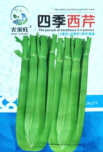 American Celery Herb Vegetable Seeds (3000 seeds) - Basic Farm House