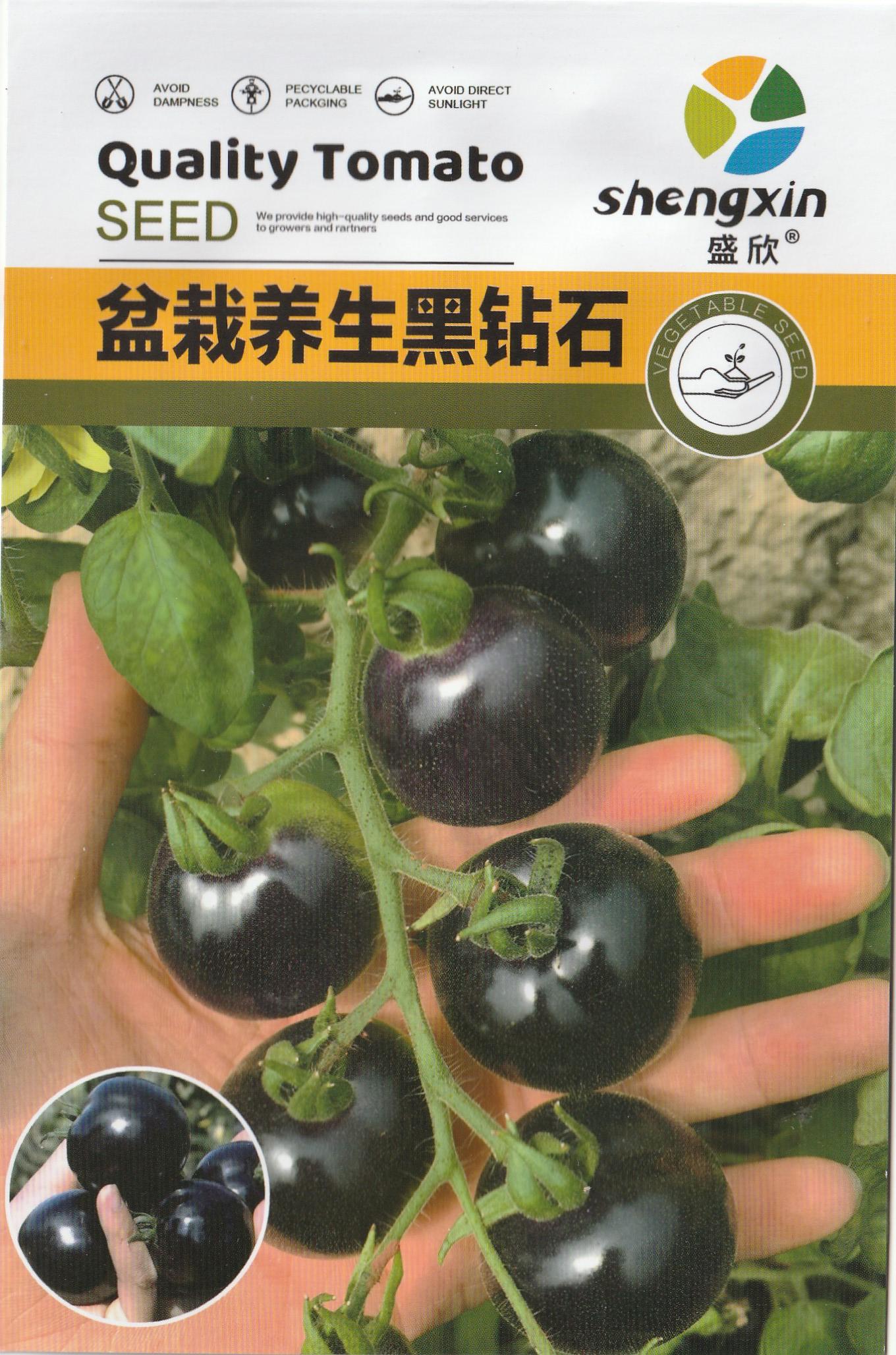 Black Cherry Millenial Tomato Vegetable Seeds ( 100 seeds ) - Basic Farm House
