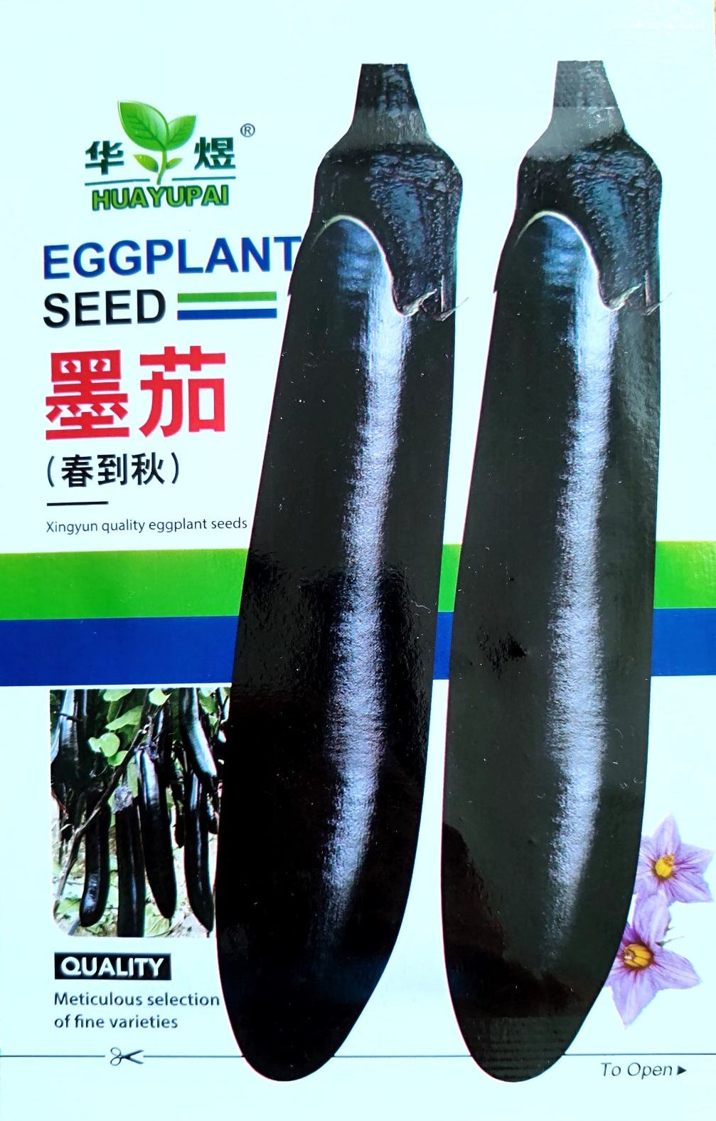 Black Shine Long Eggplant Vegetable Seeds (300 seeds) - Basic Farm House