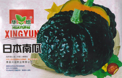 Rare Japanese Kabocha Black Sweet Pumpkin Kalabasa Vegetable Seeds (40 seeds) - Basic Farm House