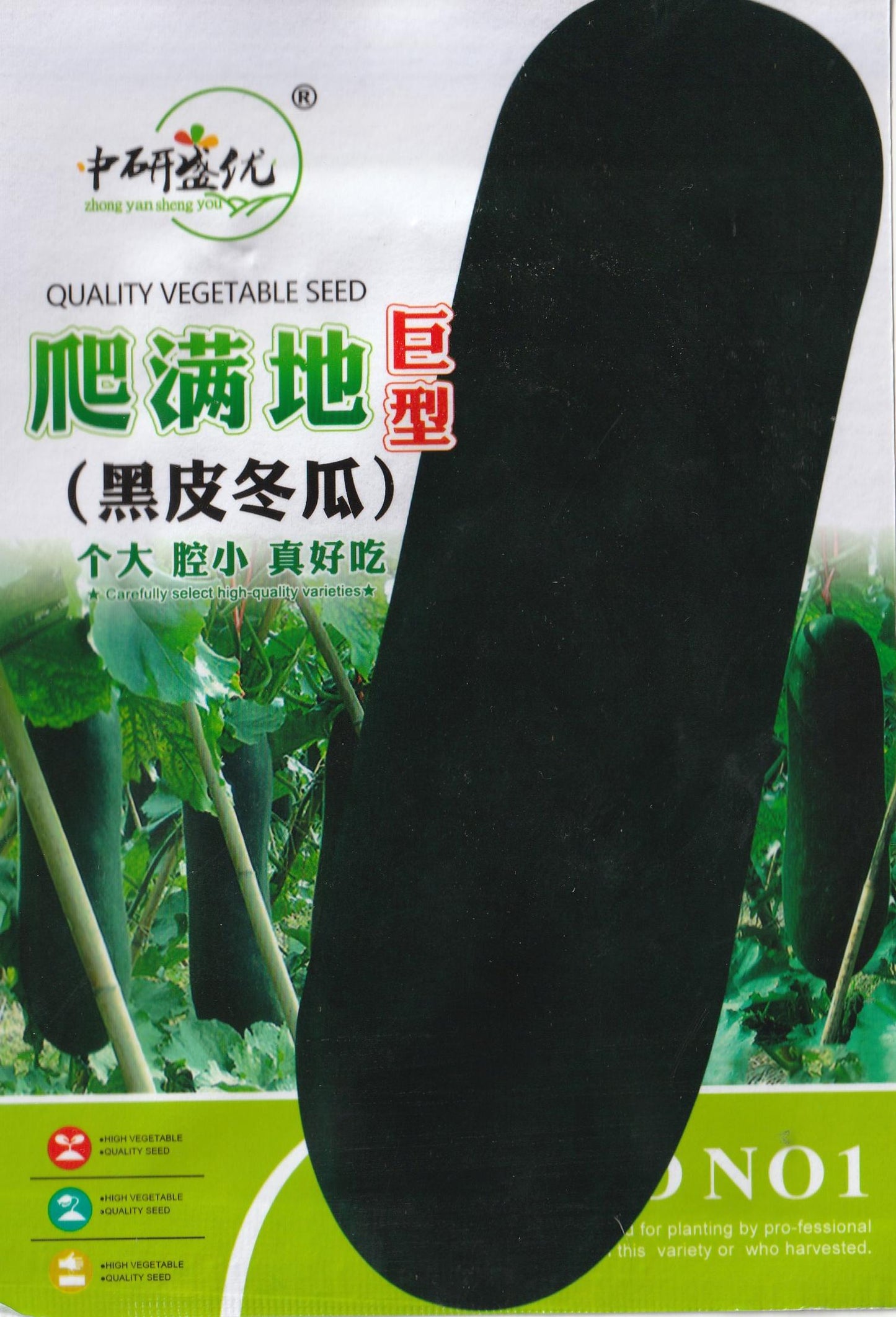 Canton Giant Black Winter Melon Vegetable Seeds (30 seeds) - Basic Farm House