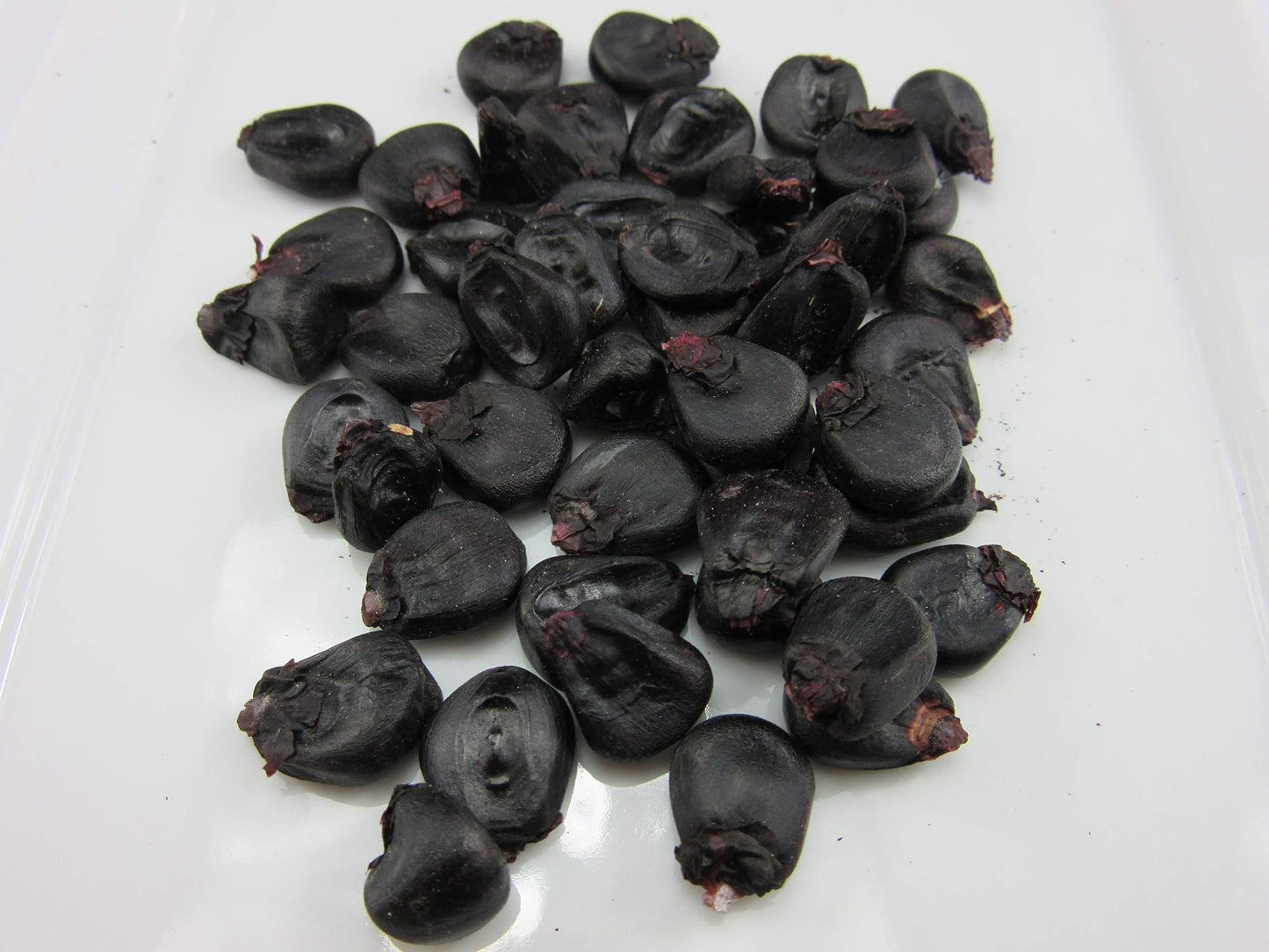 Sweet Black Waxy Corn Mais Vegetable Seeds (30 seeds) - Basic Farm House