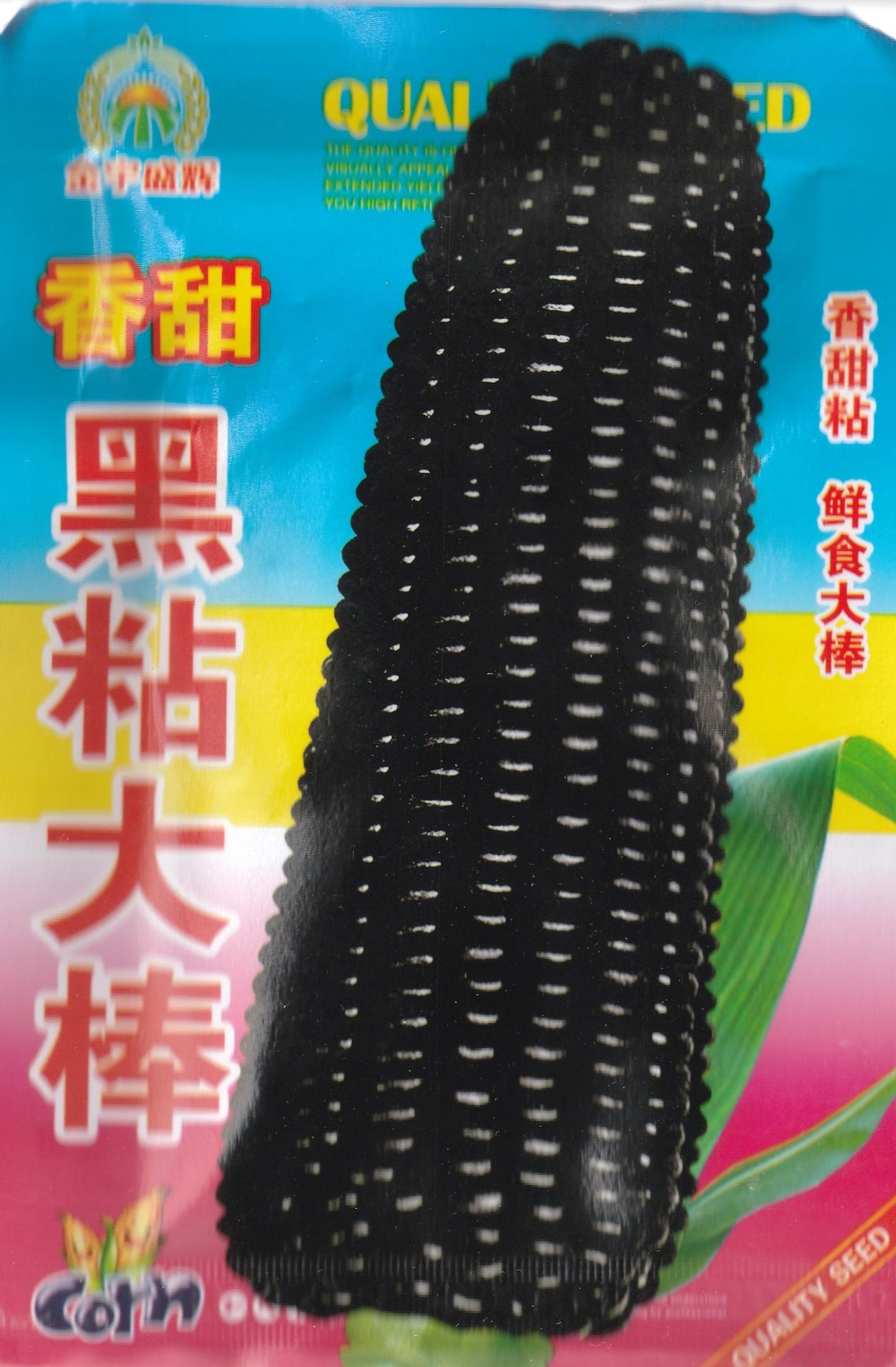 Sweet Black Waxy Corn Mais Vegetable Seeds (30 seeds) - Basic Farm House