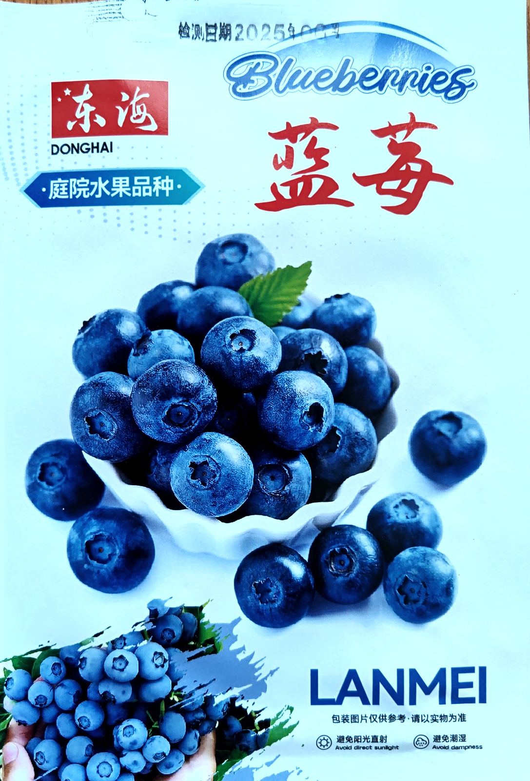 Blueberries Fruit Vegetable Seeds ( 300 seeds ) - Basic Farm House