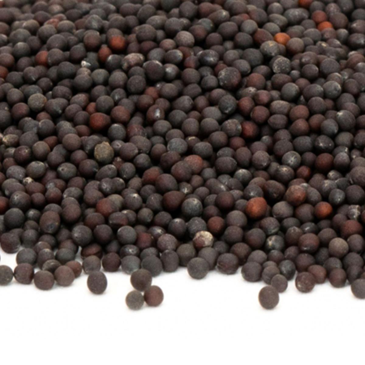 Rapid Chinese Pechay Vegetable Seeds (2000 seeds) - Basic Farm House