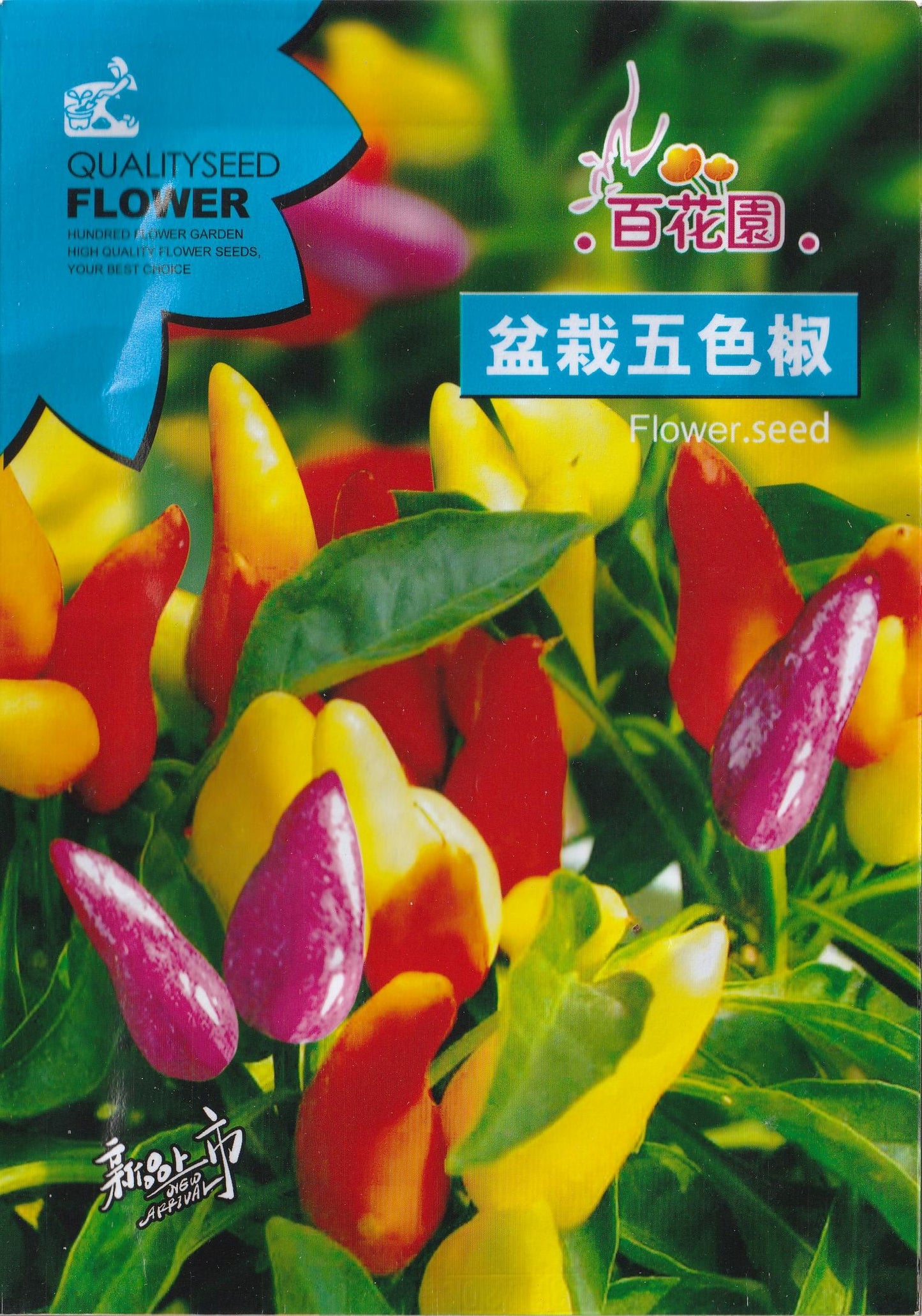 Rare Bolivian Rainbow Colorful Chili Pepper Vegetable Seeds (100 seeds) - Basic Farm House