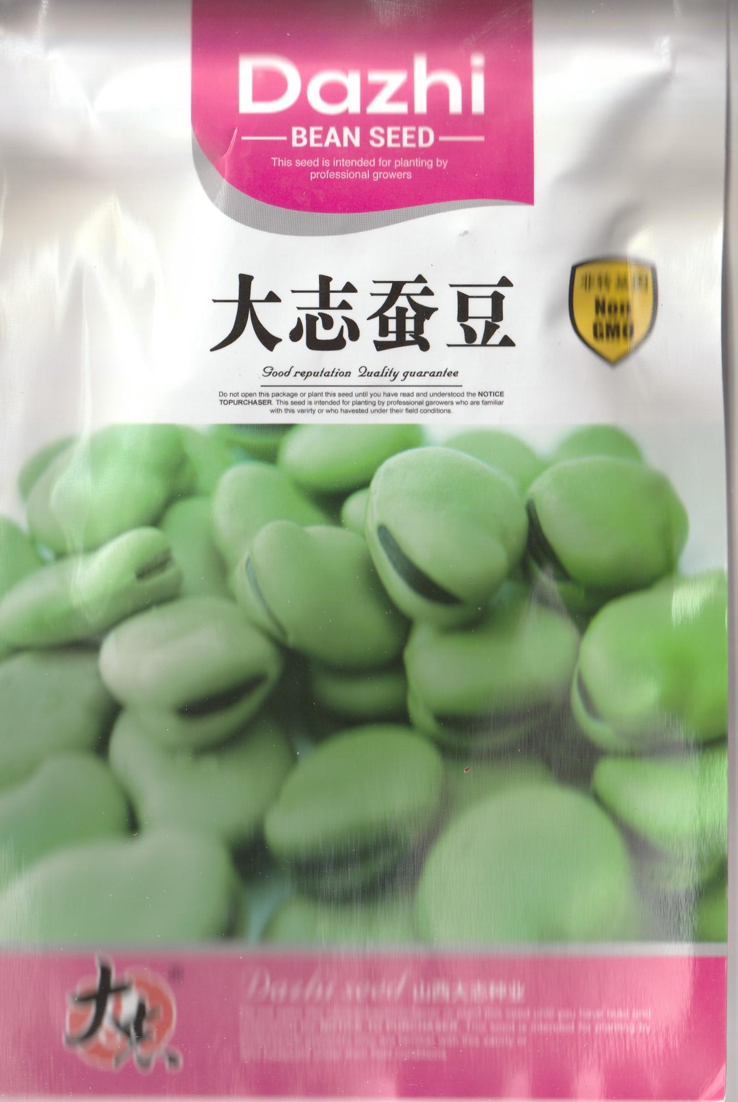 Broad Fava Beans Vegetable Seeds (20 seeds) - Basic Farm House