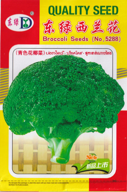 Broccoli Vegetable Seeds (300 seeds) - Basic Farm House