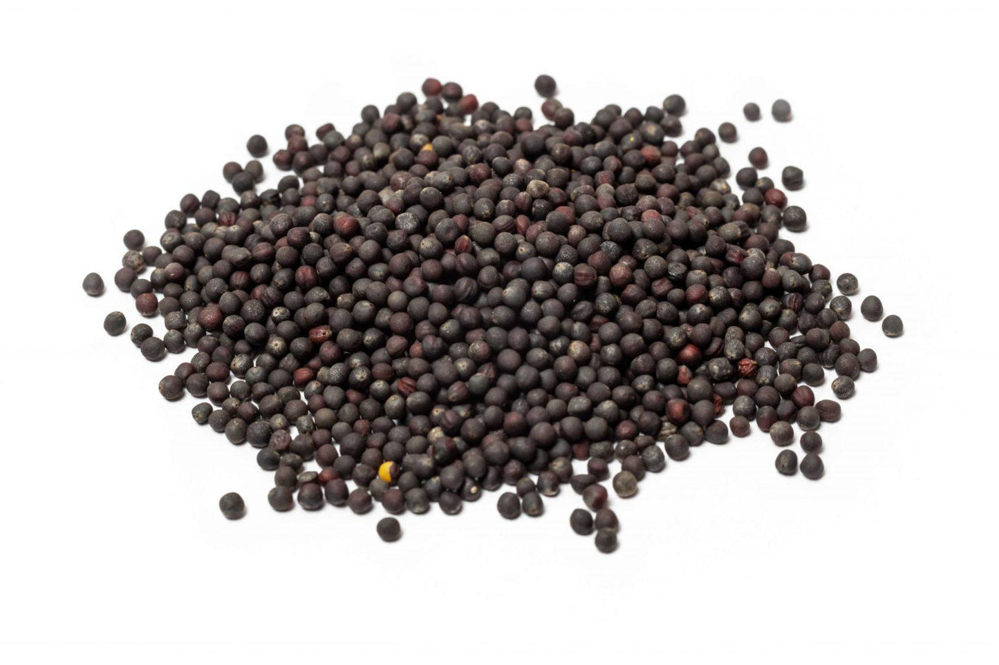 Broccoli Vegetable Seeds (300 seeds) - Basic Farm House