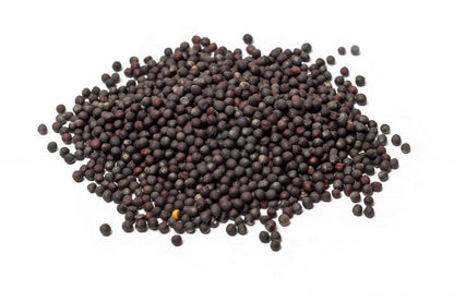 Broccoli Vegetable Seeds (300 seeds) - Basic Farm House