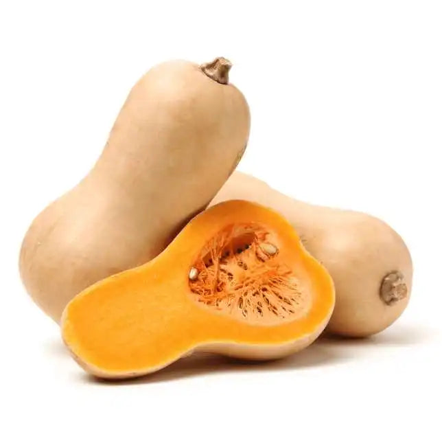 Sweet Butternut Squash Pumpkin Kalabasa Vegetable Variety Seeds ( 10 seeds ) - Basic Farm House