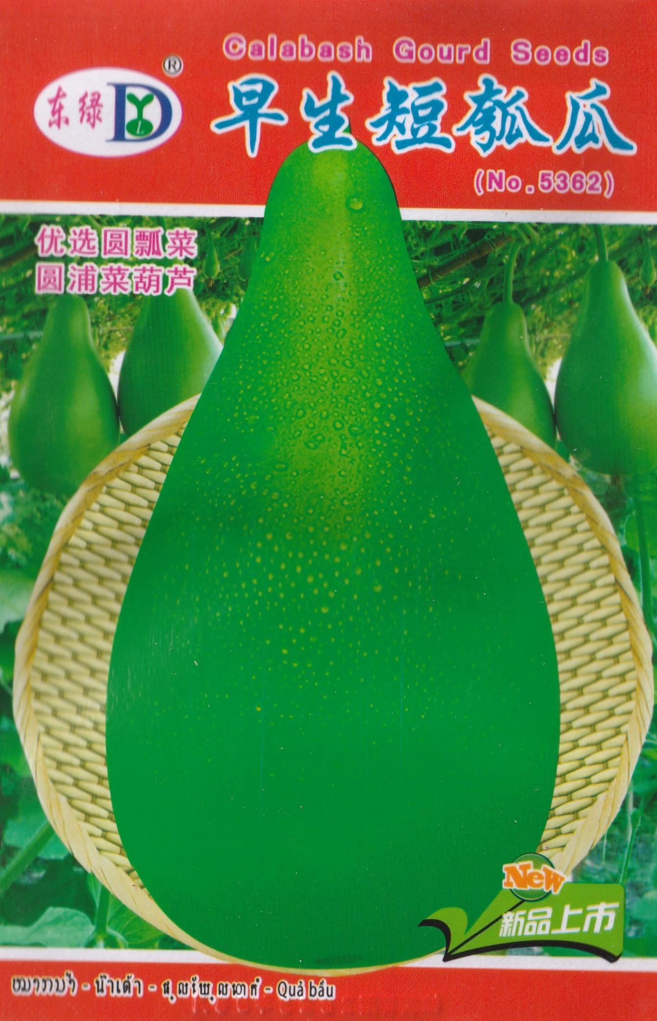 Chinese Bottle Oval Calabash Sponge Gourd UPO Vegetable Seeds ( 10 seeds ) - Basic Farm House