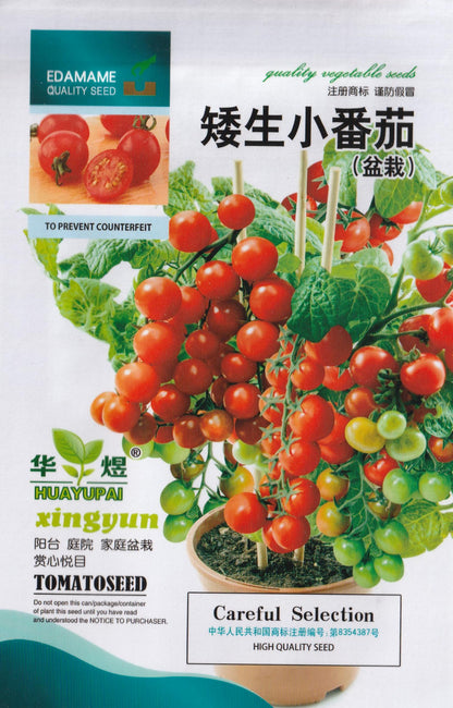 Chinese Potted Cherry Red Small Tomato Variety Vegetable Seeds (200 seeds) - Basic Farm House