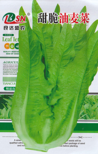 Chinese Baby Romaine  Vegetable Seeds (2000 seeds) - Basic Farm House