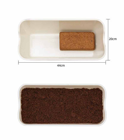 Imported Natural Coco Peat Block Brick ( 0.60KG ) - Basic Farm House