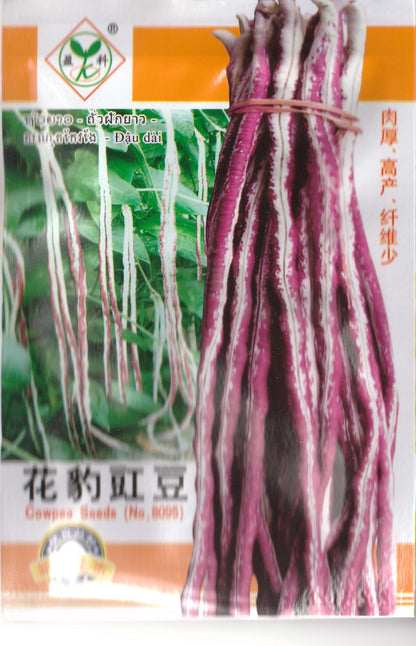 Hybrid Leopard Cowpea Long Beans Sitao Vegetable Seeds ( 50 seeds ) - Basic Farm House