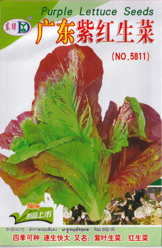Purple Leaf Water Crystal Lettuce  Vegetable Seeds ( 2000 seeds ) - Basic Farm House