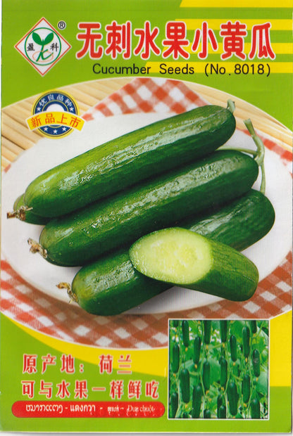Hybrid Dutch Fruit Cucumber Pipino Salad Vegetable Seeds (18 seeds) - Basic Farm House