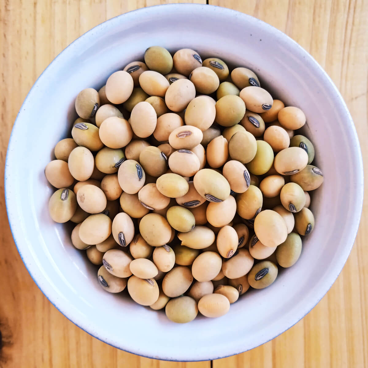 Japanese Korean Green Soybean Edamame Soya Beans Vegetable Seeds (40 seeds) - Basic Farm House
