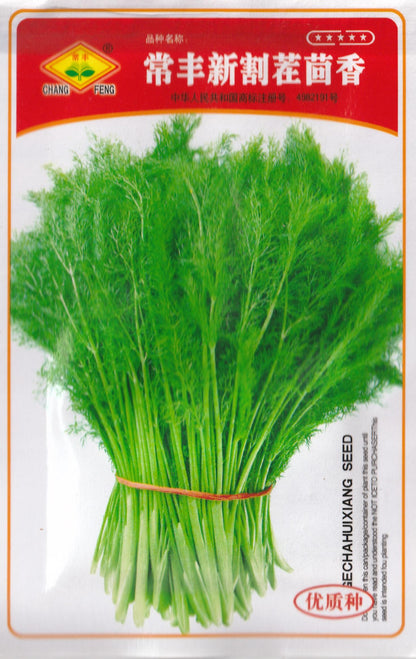 RARE Stubble Fennel Cumin Herb Aromatic Anise Salad Vegetable Seeds (500 seeds) - Basic Farm House
