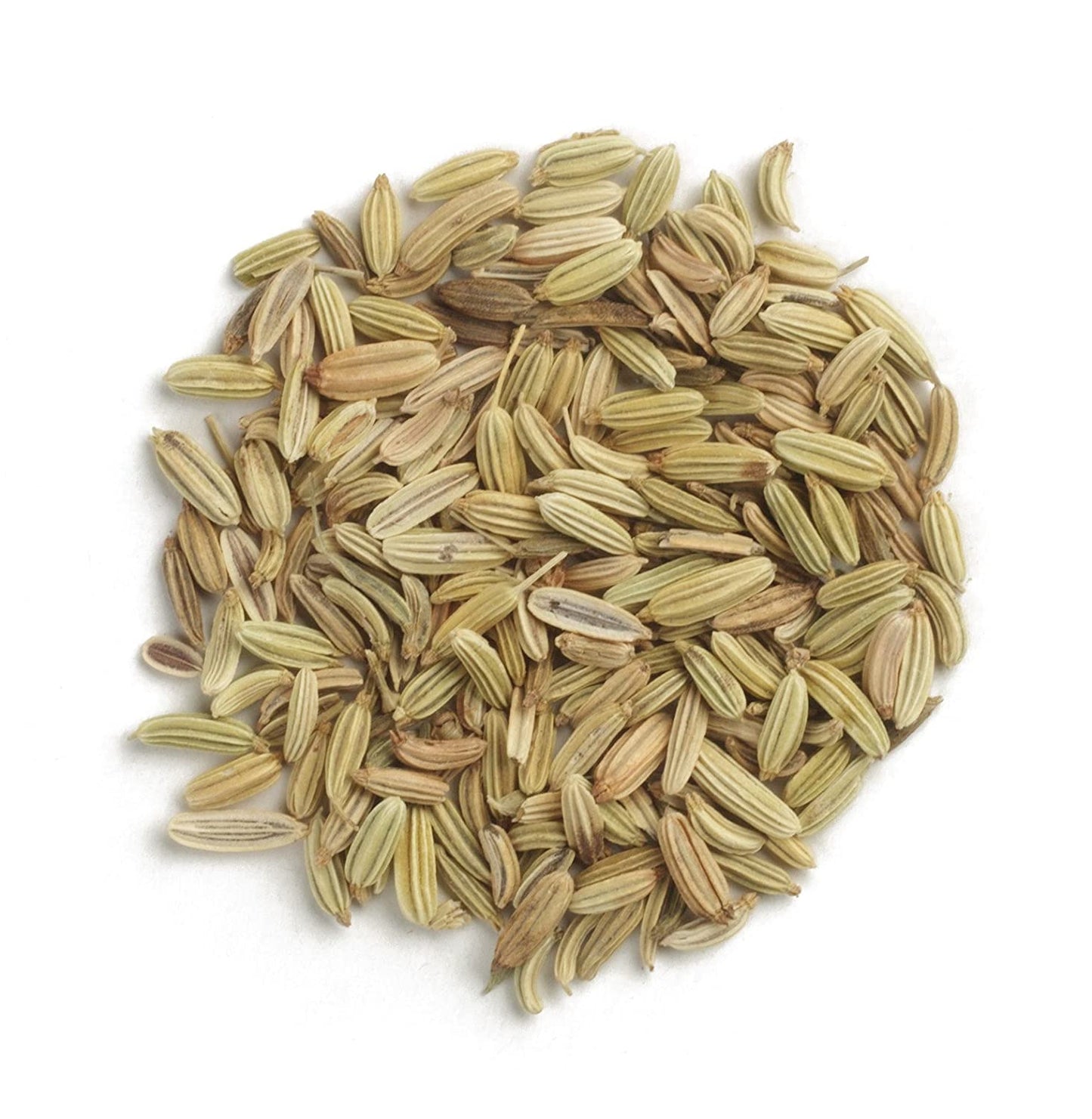 RARE Stubble Fennel Cumin Herb Aromatic Anise Salad Vegetable Seeds (500 seeds) - Basic Farm House