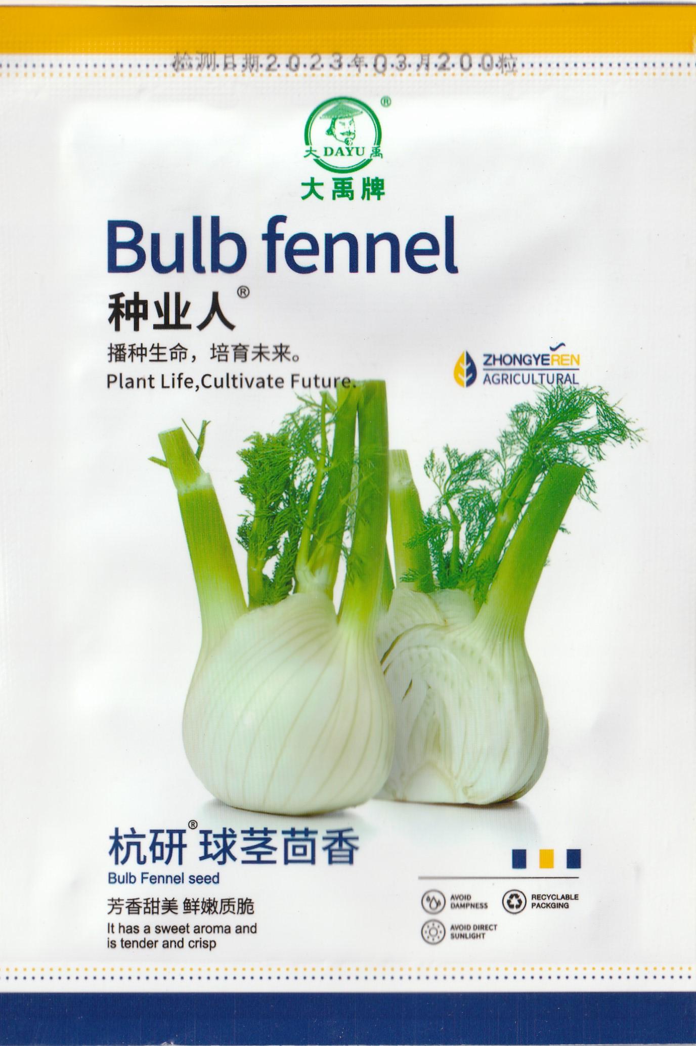 Bulb Fennel Cumin Herb Aromatic Vegetable Seeds ( 100 seeds ) - Basic Farm House